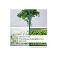 Frigorífico Combinado Bosch KGN392WCF, 363 L, Total No Frost, 203 cm, Classe C, Branco